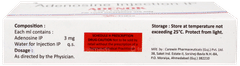 Adenok Injection 2Ml